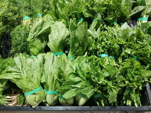 上周云南省生活必需品零售價格觀察 6漲1平5跌，新鮮蔬菜價格回落